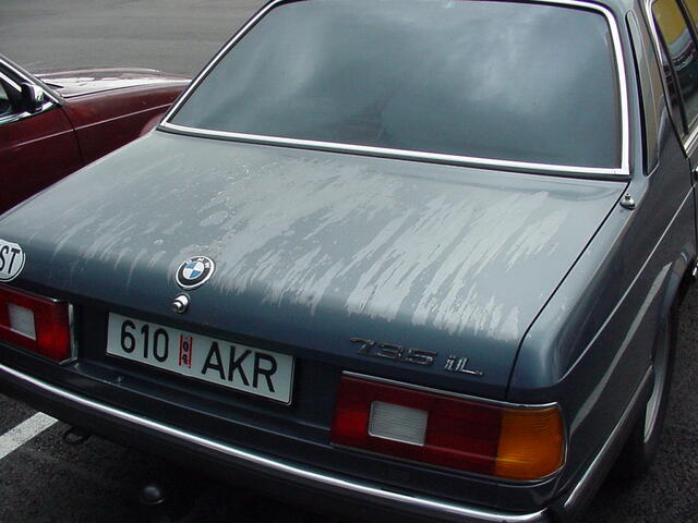 MVC-273F.JPG