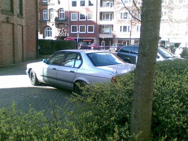 26032008(012) (Large)