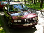 Picture 003