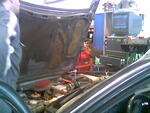 07.06.05 Boschi test
