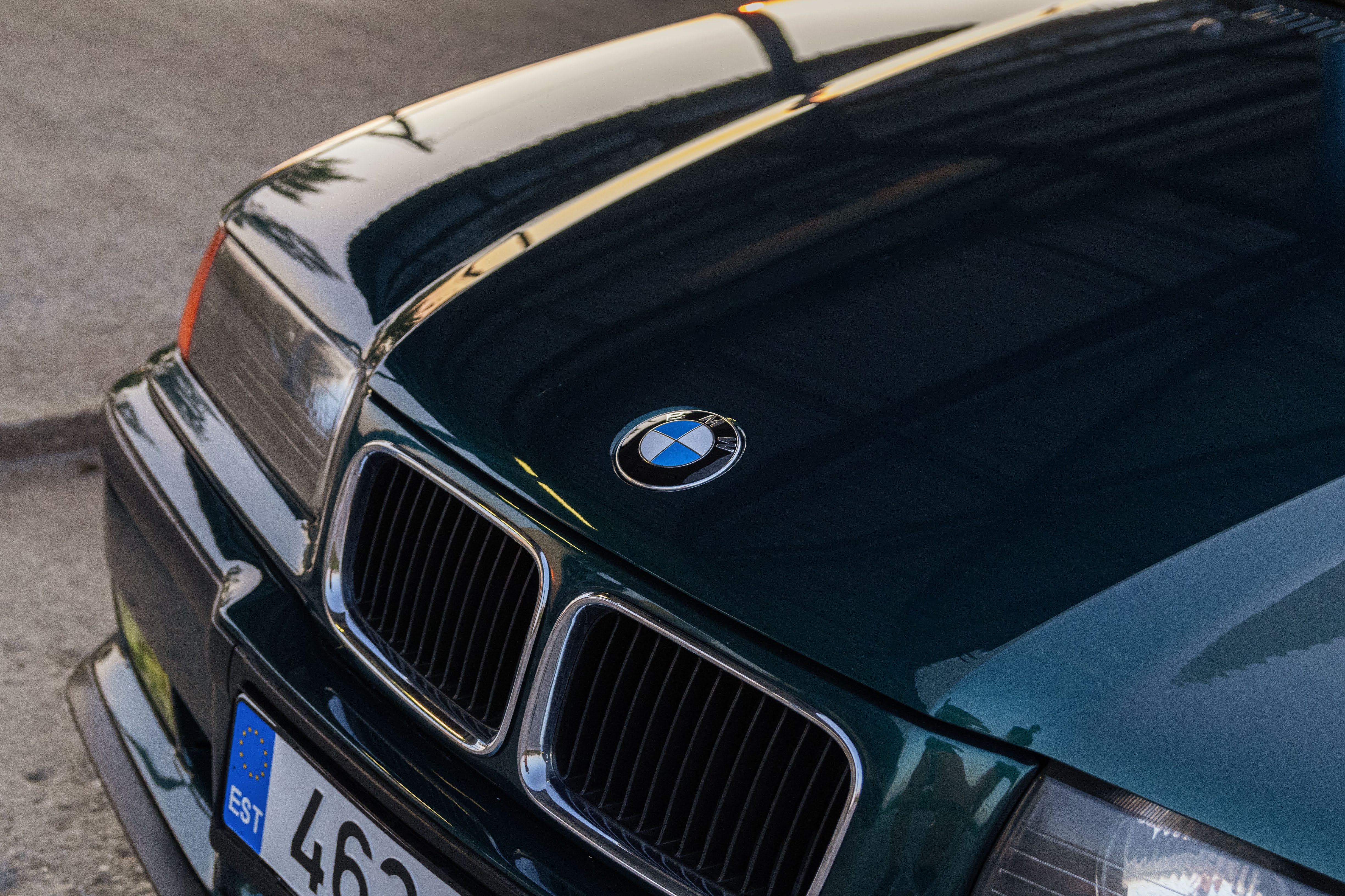 Jäneda tankla19.jpeg