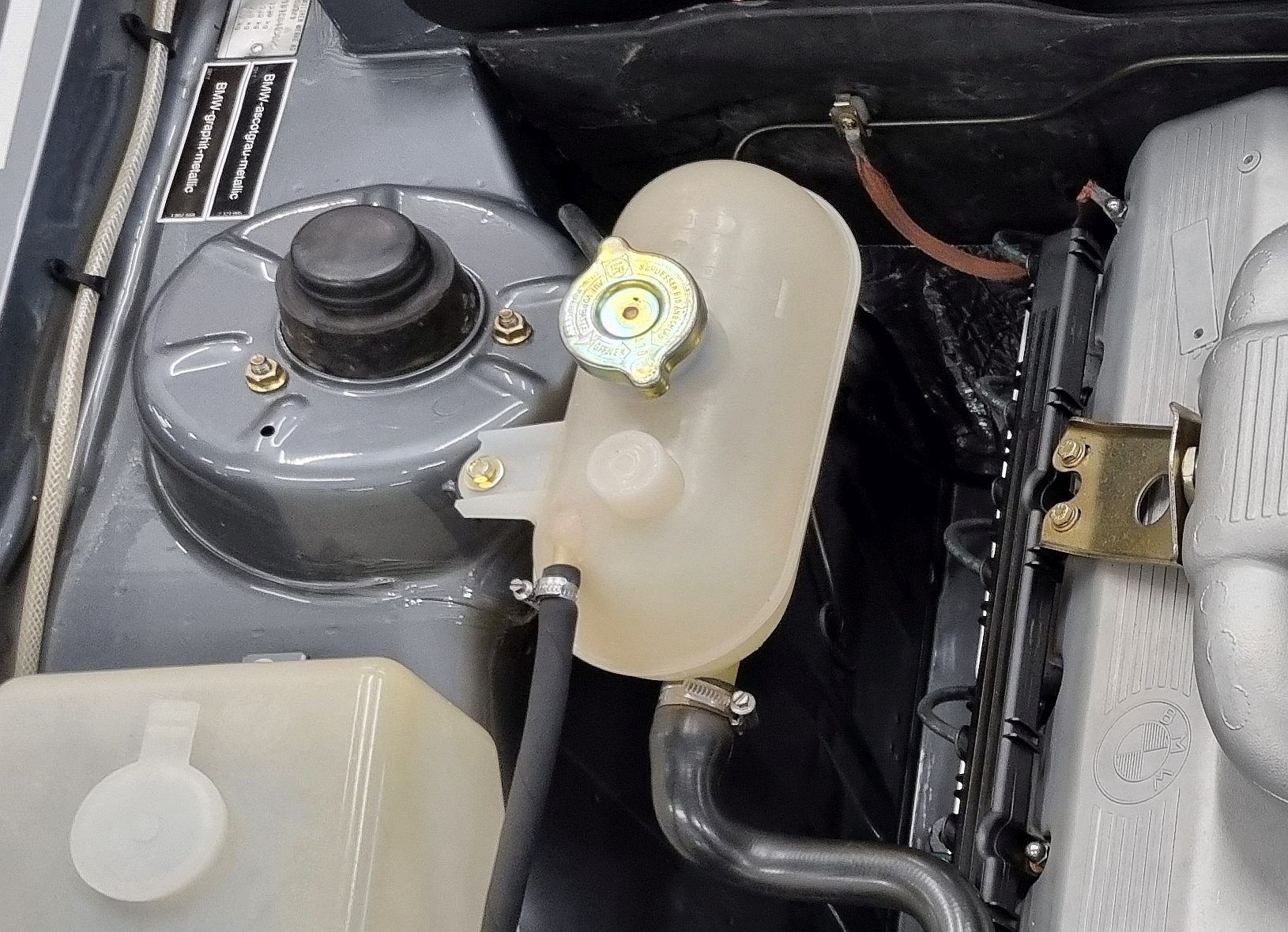 2025-06-11 13.02.38.jpg