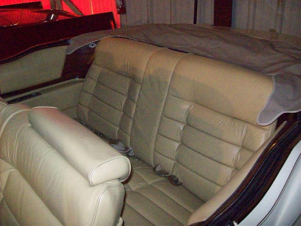 100_1338 (Large).JPG