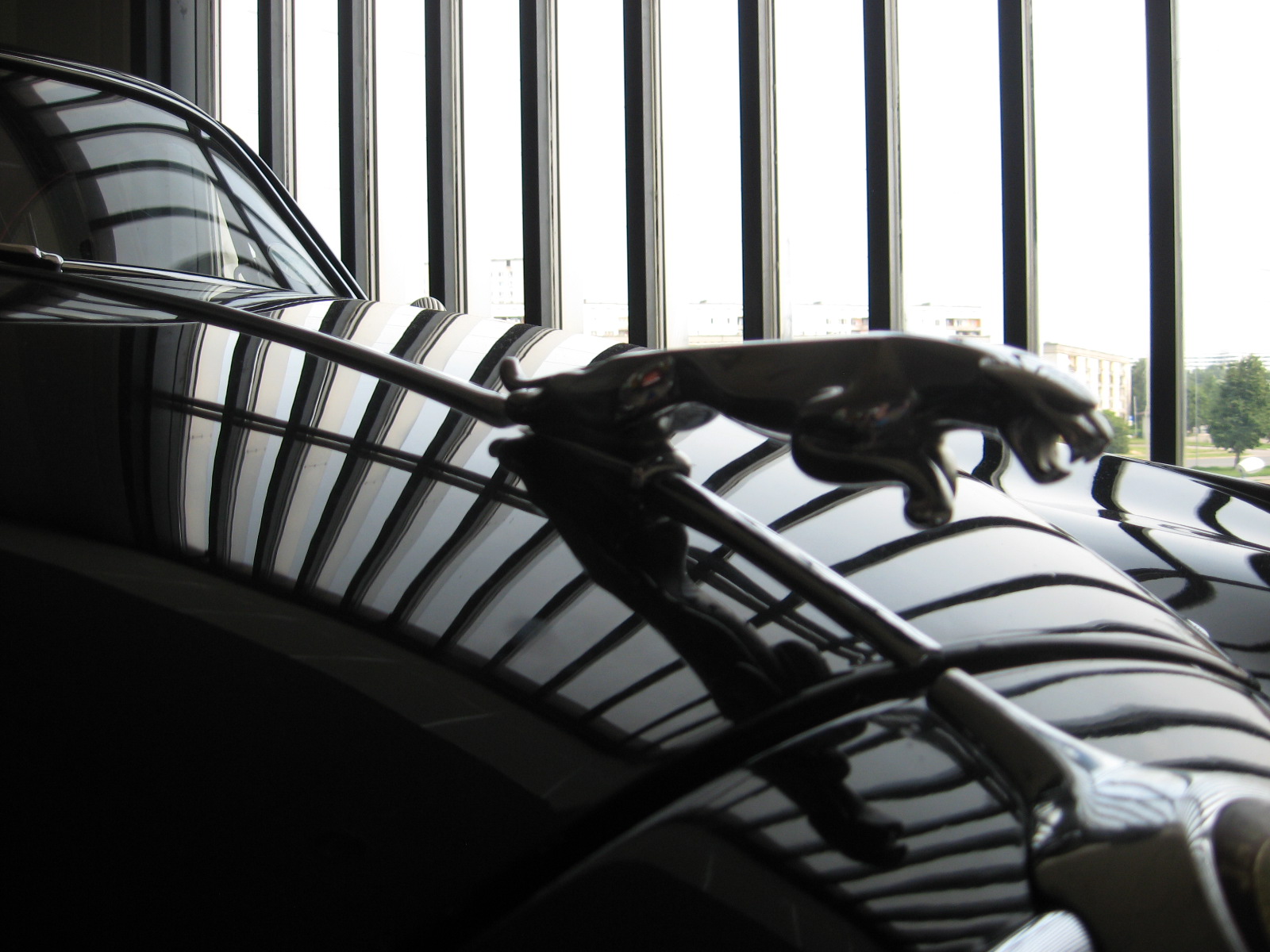 l&otilde;una eesti 380.jpg