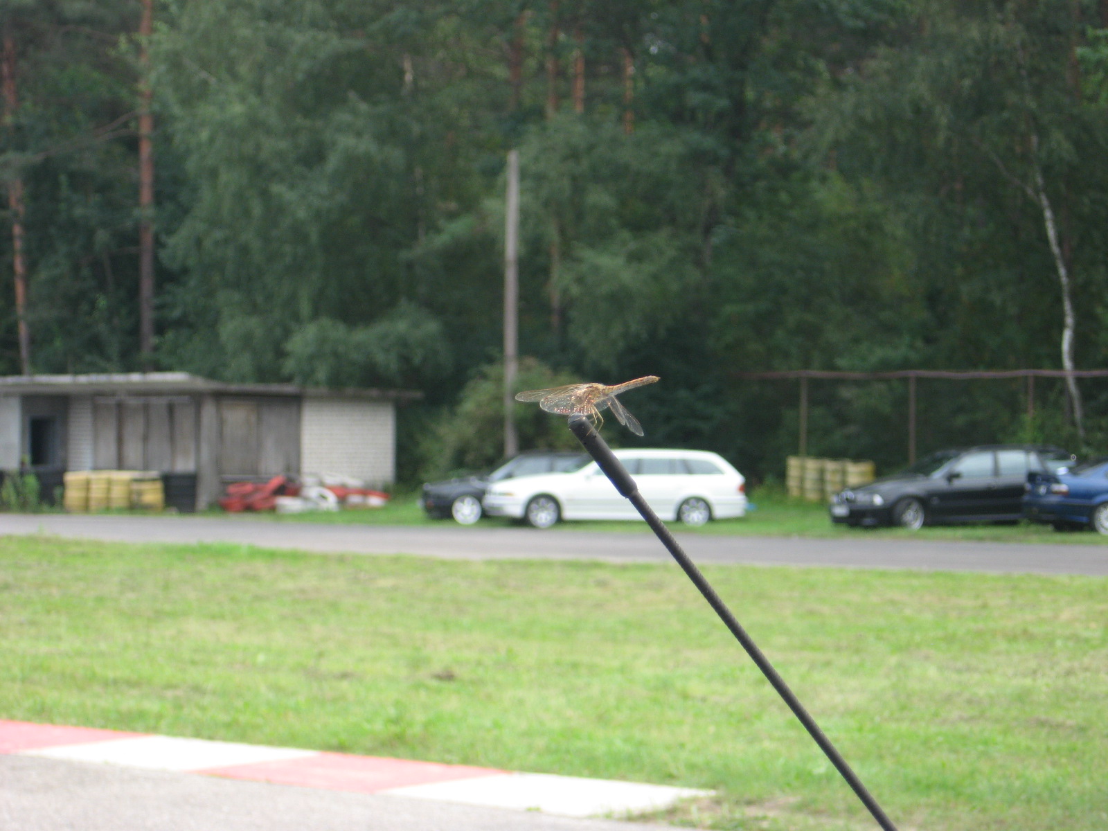 l&otilde;una eesti 419.jpg