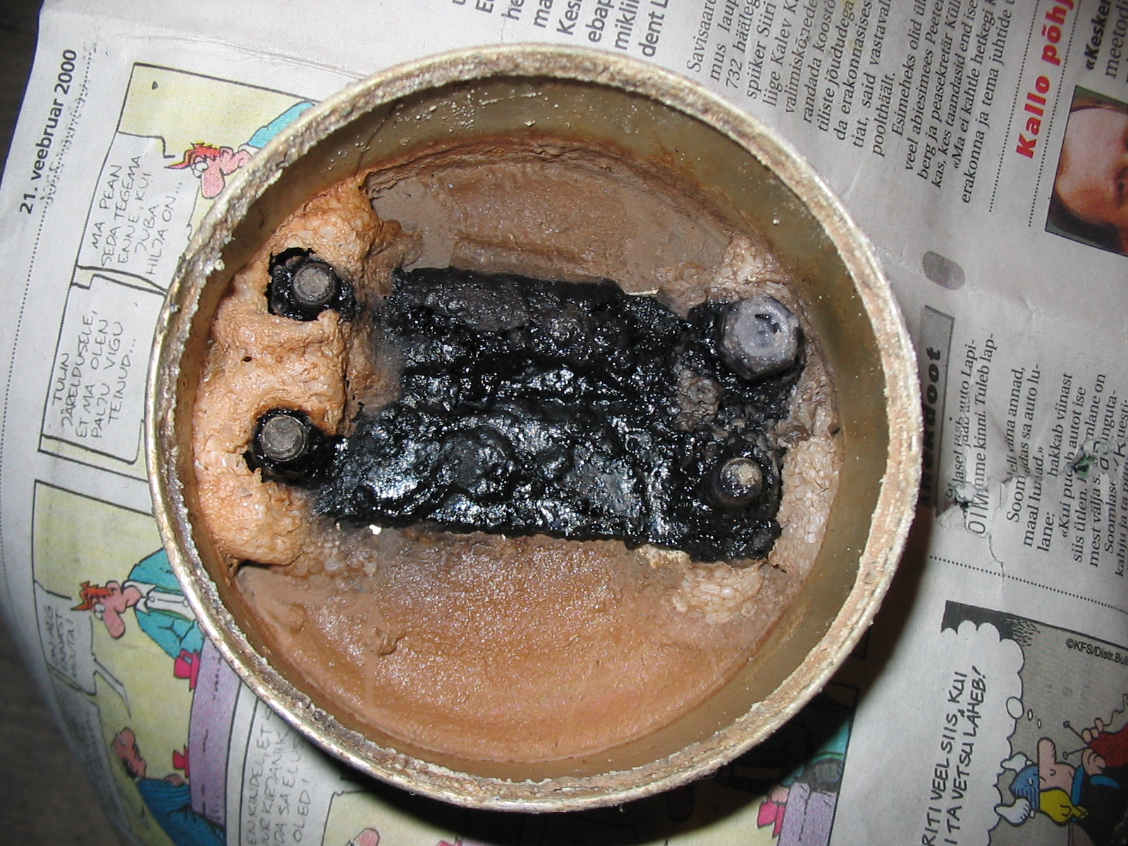 Roostekänkrad peale nädalast buvanolis ligunemist.