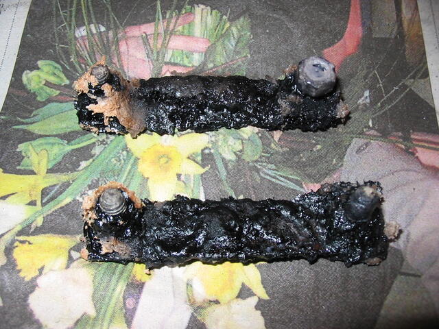 Roostest ja buvanolist on saanud kahtlane must ollus.